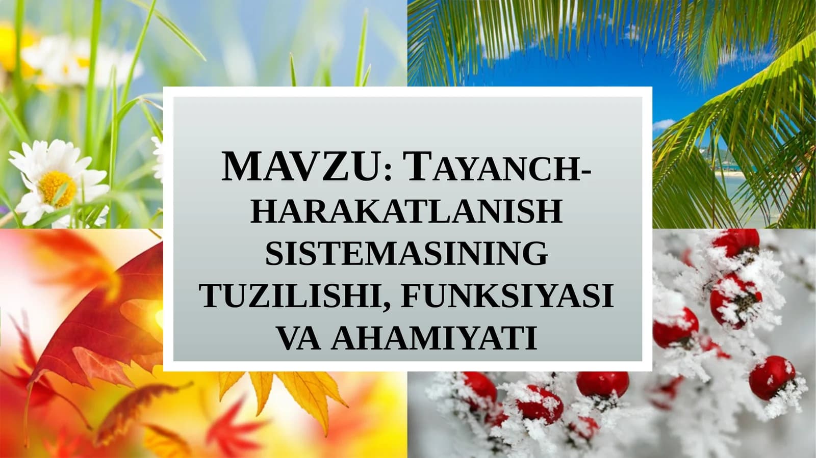 Tayanch-harakatlanish sistemasining tuzilishi, funksiyasi va ahmiyati