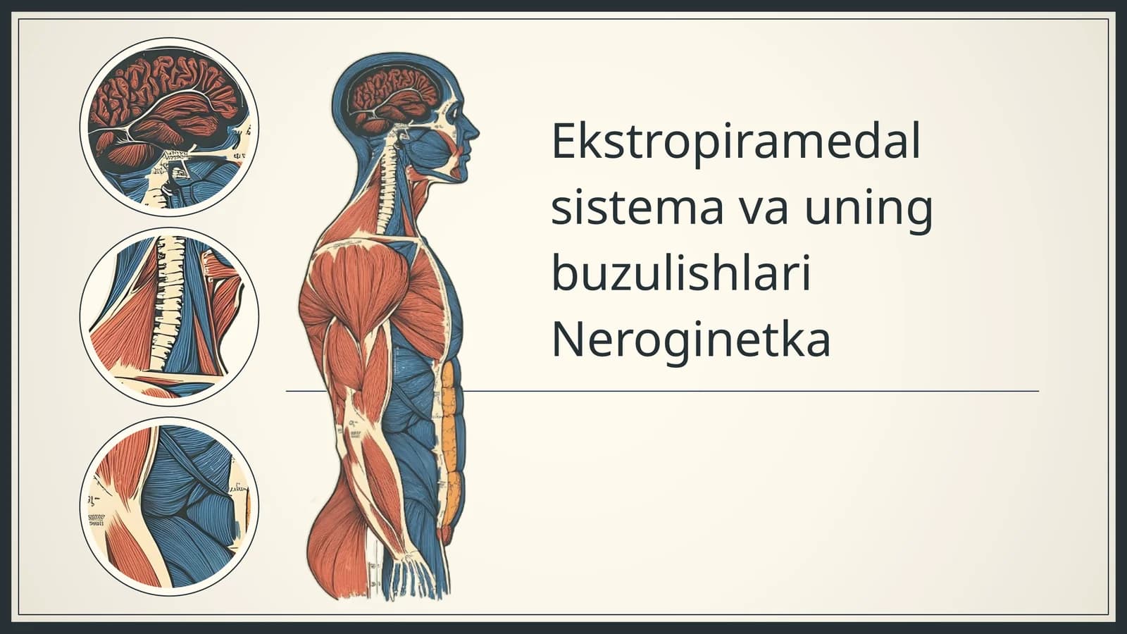 Ekstropiramedal sistema va uning buzulishlari Neroginetka