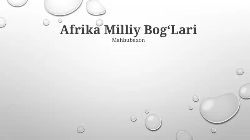 Afrika Milliy Bog‘Lari