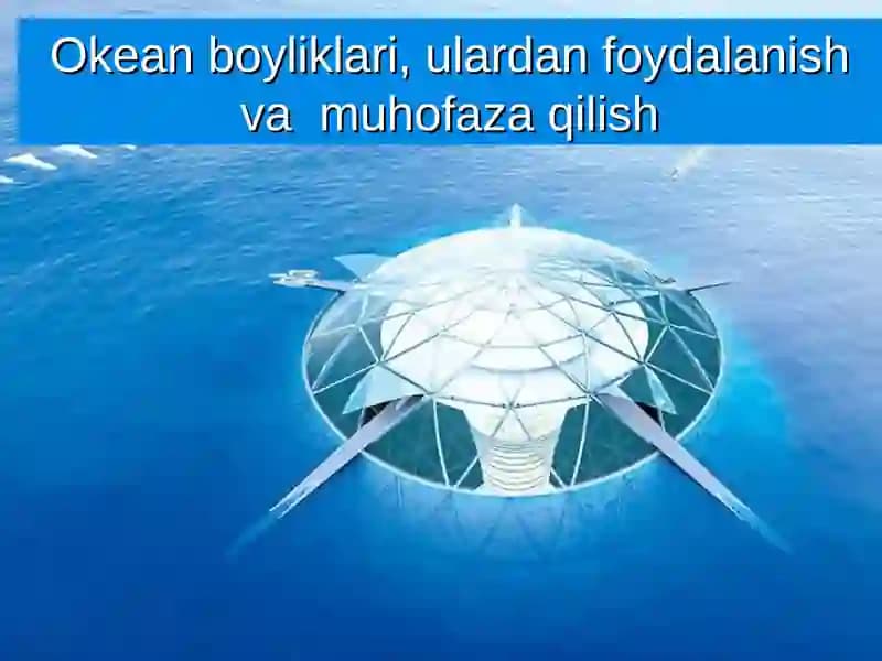 Okean boyliklari, ulardan foydalanish va muhofaza qilish