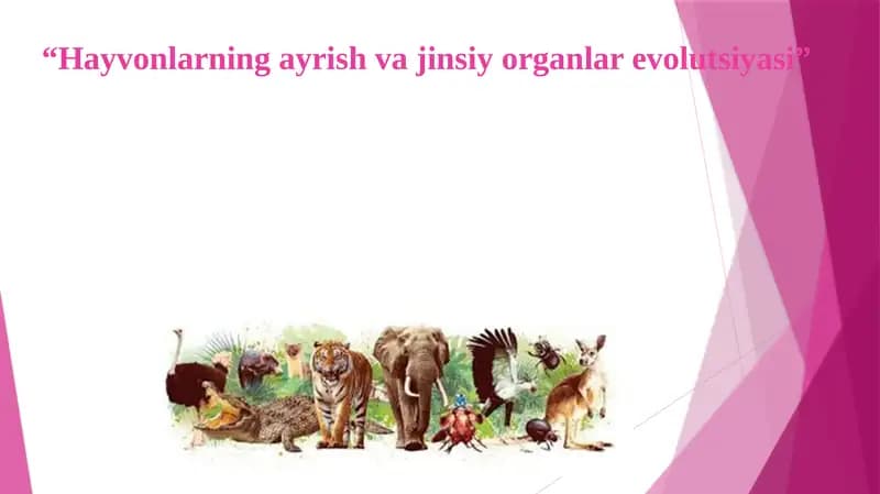 Hayvonlarning ayrish va jinsiy organlar evolutsiyasi