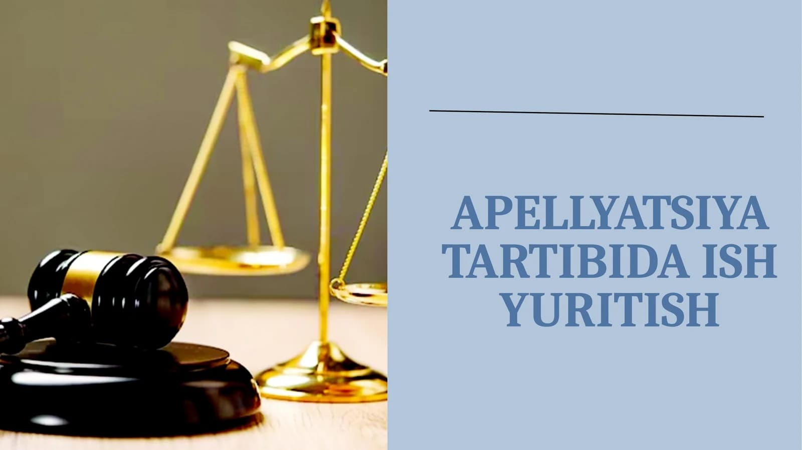 Apellyatsiya Tartibida Ish Yuritish