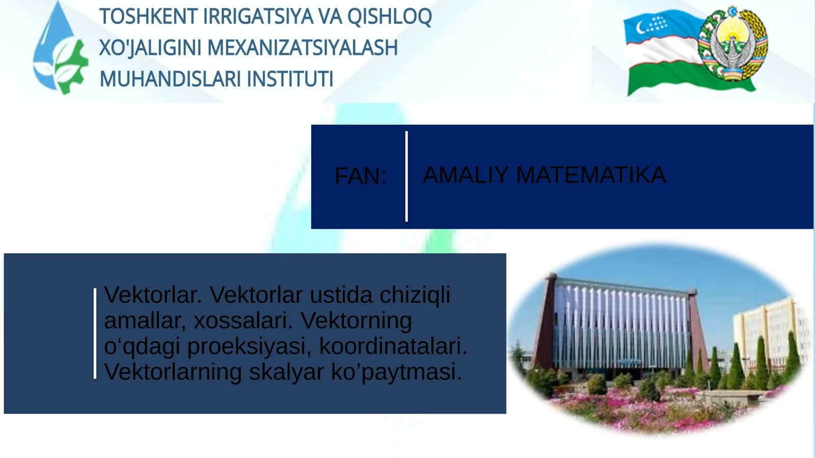 Vektorlar