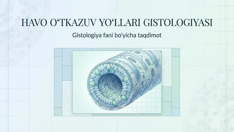 havo oʻtkazuv yoʻllari Gistologiyasi