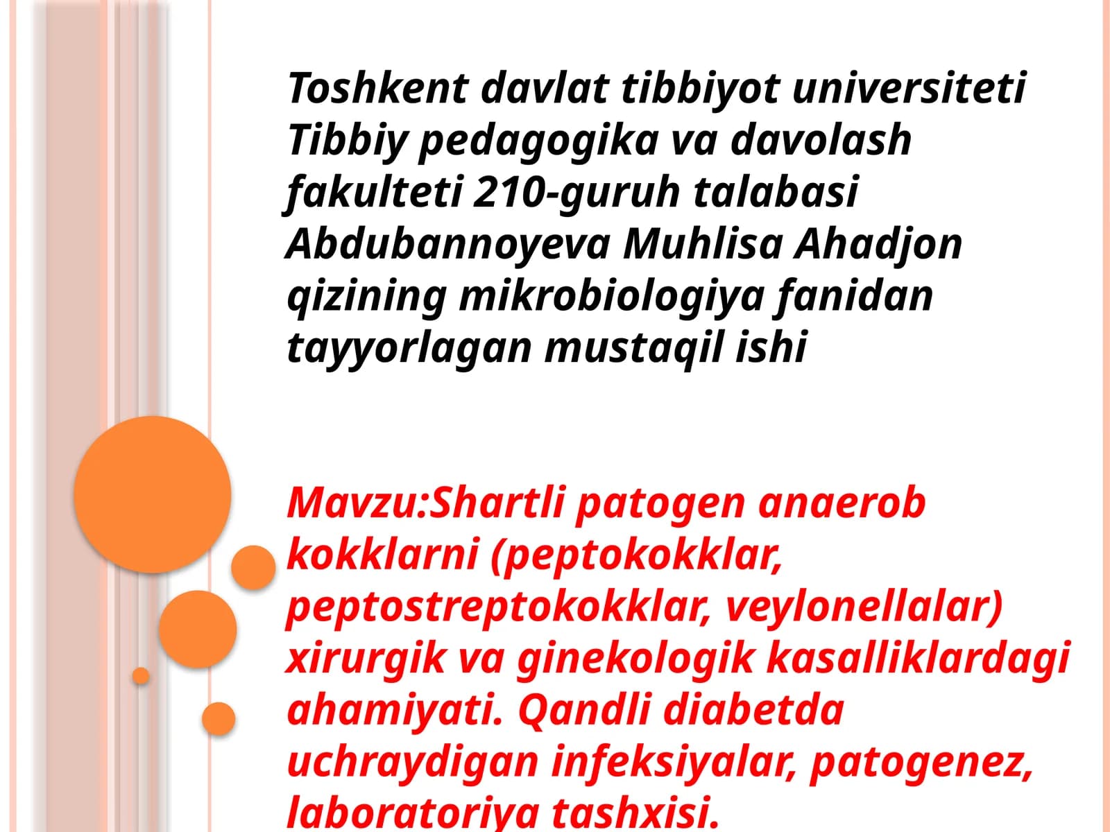 Shartli patogen anaerob kokklarni (peptokokklar, peptostreptokokklar, veylonellalar)