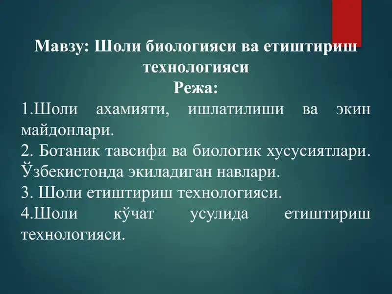 Шоли биологияси ва етиштириш технологияси