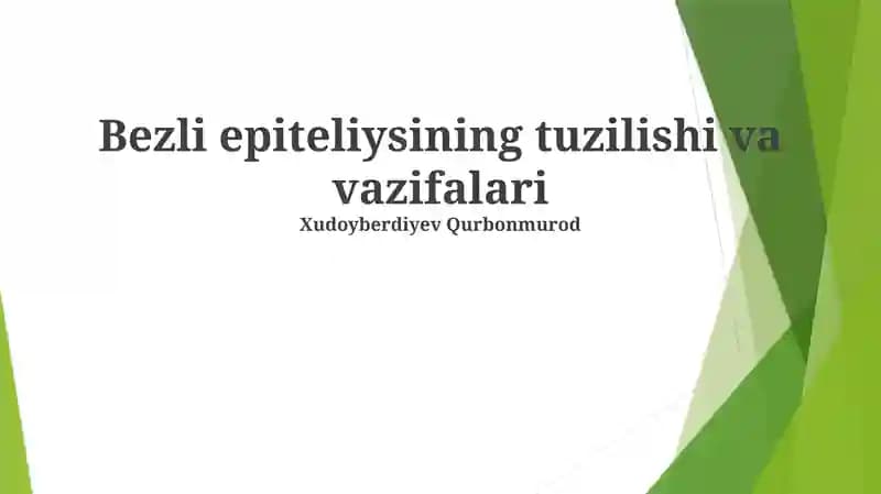 Bezli epiteliysining tuzilishi va vazifalari