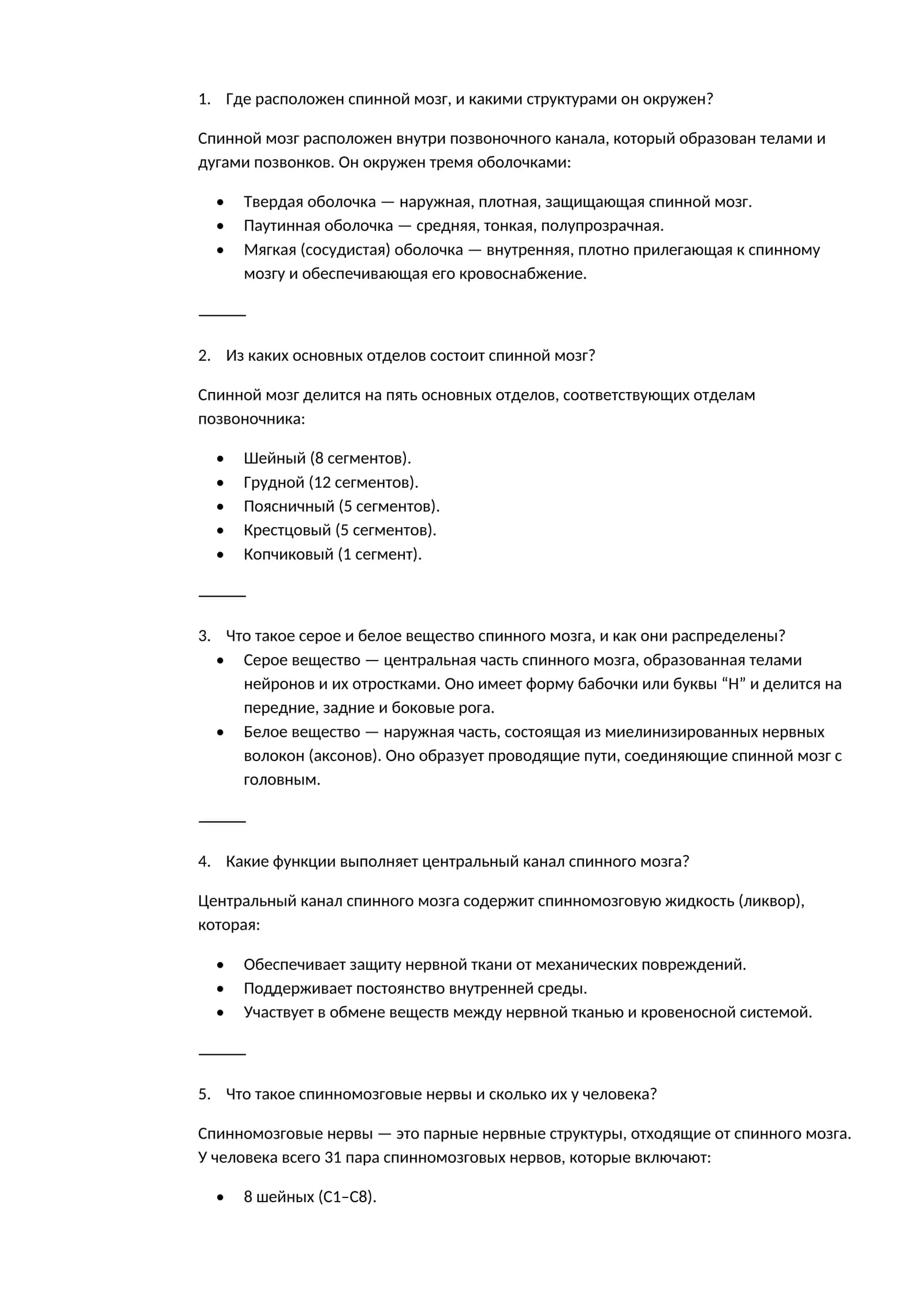Спинной мозг
