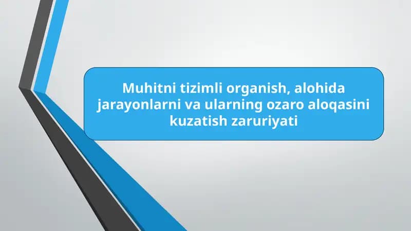 Muhitin tizimlanishi: Organizatsiyalash va strukturani ta'kidlash.