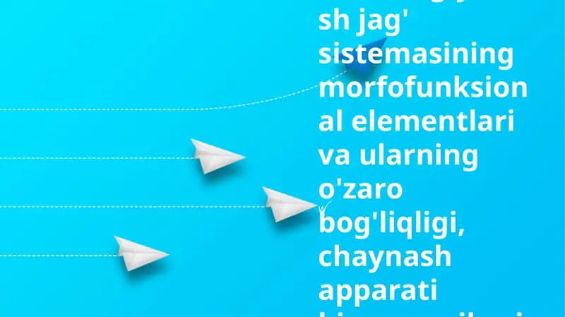 Gnatalogiya.Tish jag' sistemasining morfofunksional elementlari va ularning o'zaro bog'liqligi, chaynash apparati biomexanikasi