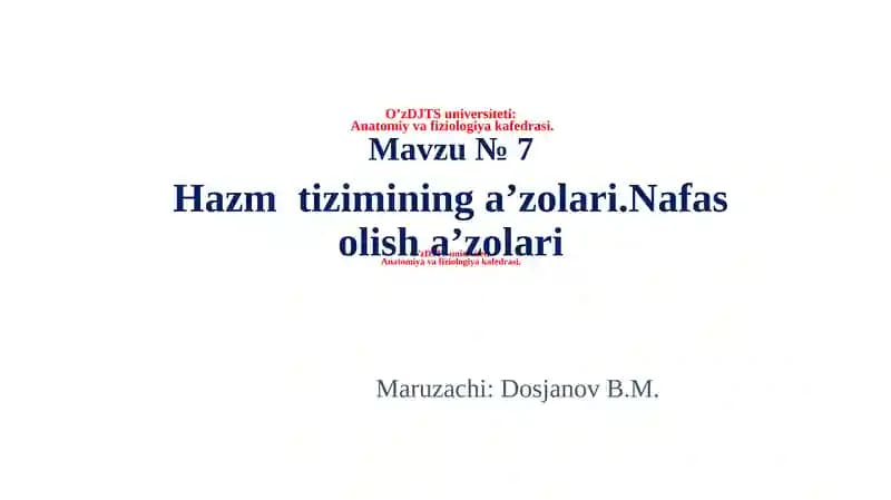 Hazm tizimining a’zolari, Nafas olish a’zolari