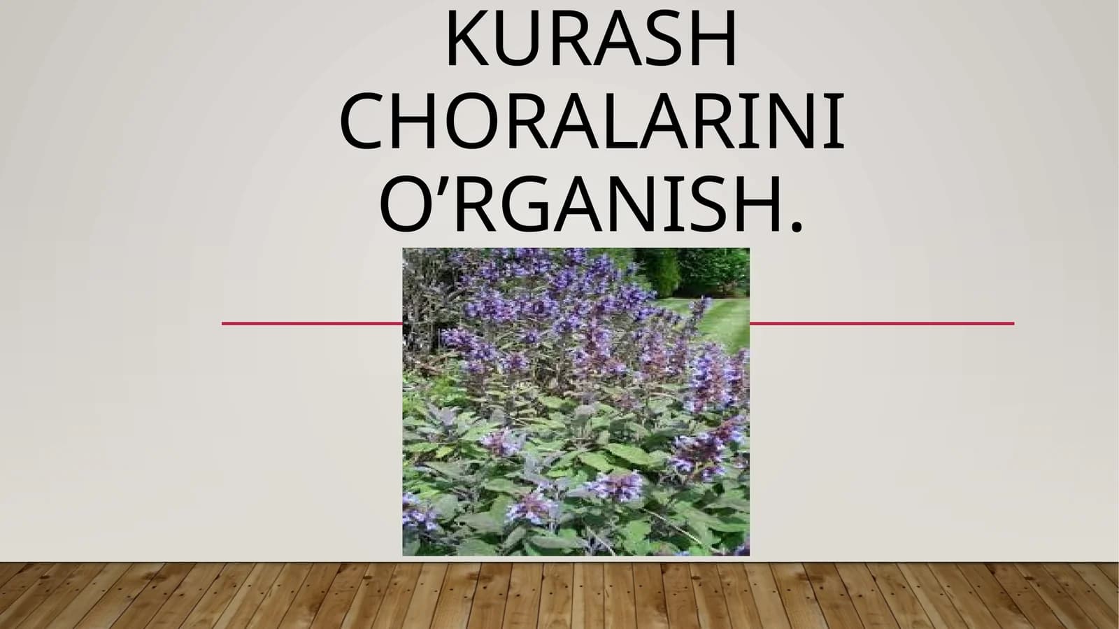 Mavrak o’simligi zararkunandalari va kasalliklari aniqlash haqda kurash choralarini o’rganish