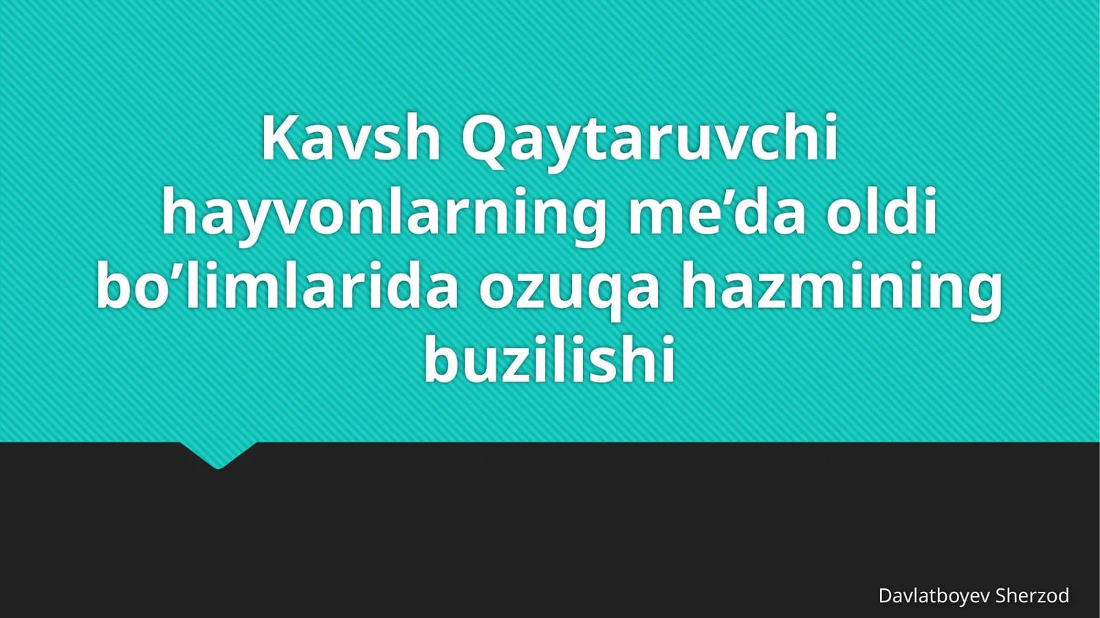 Kavsh qaytaruvchi hayvonlarning me’da oldi bo‘limlarida oziqa hazmining buzilishi