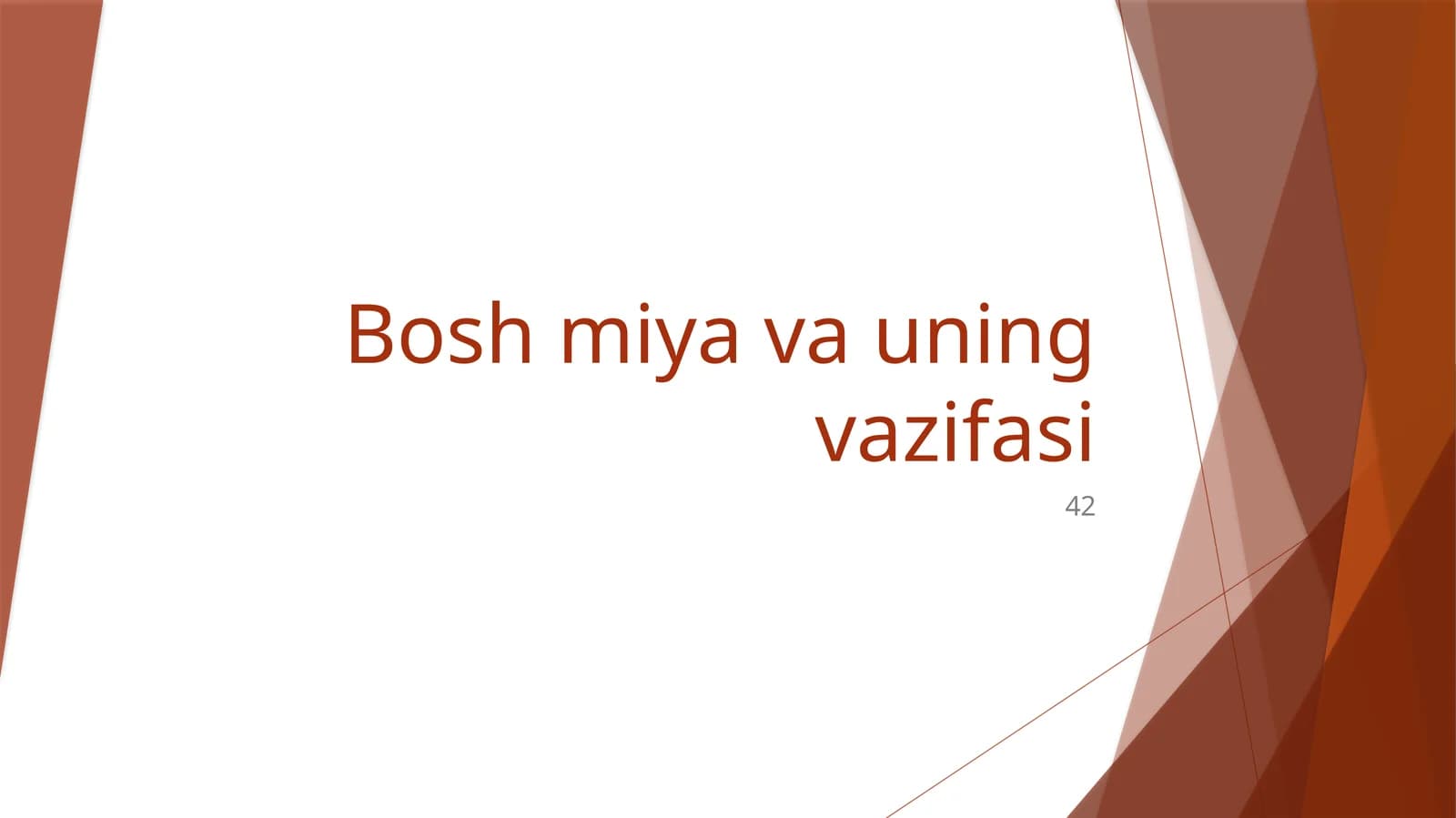 Bosh miya va uning vazifasi