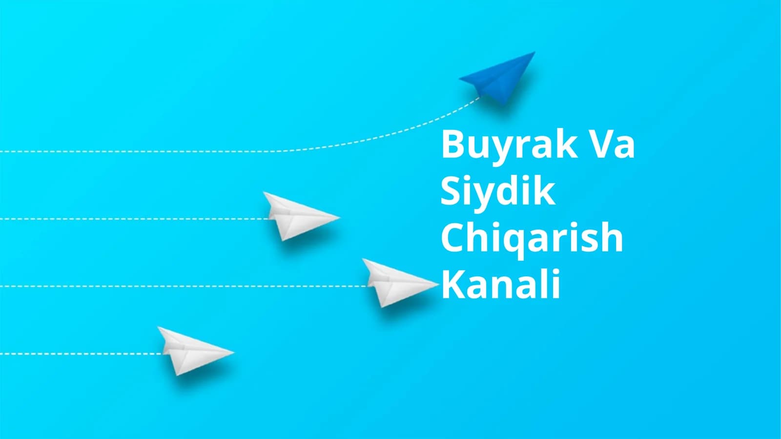 Buyrak Va Siydik Chiqarish Kanali