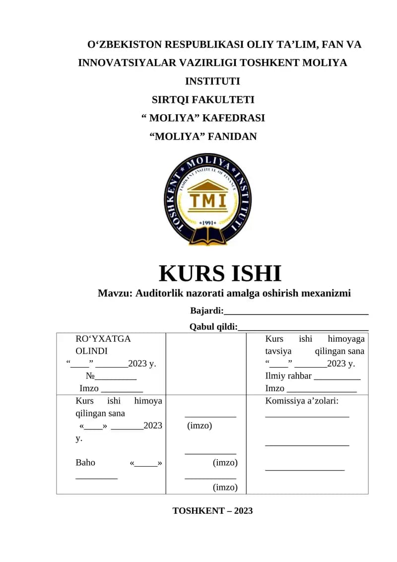Auditorlik nazorati amalga oshirish mexanizmi