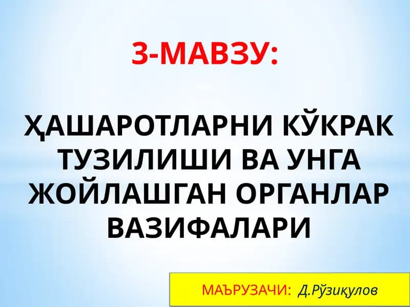 Ҳашаротларнинг кукрак тузилиши ва унга жойлашган органлар вазифалари