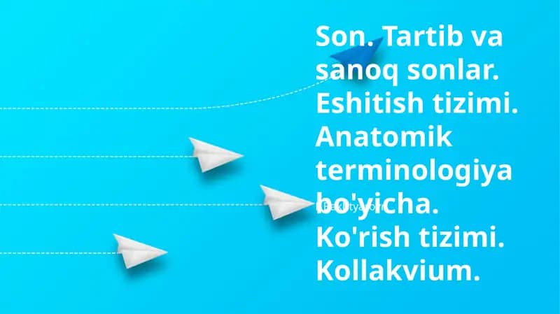 Son. Tartib va sanoq sonlar. Eshitish tizimi. Anatomik terminologiya bo'yicha. Ko'rish tizimi. Kollakvium