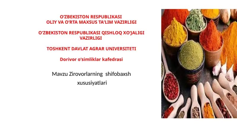 Zirovorlarning shifobaxshlik xususiyatlari