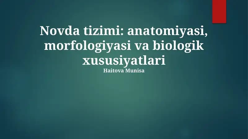 Novda tizimi: anatomiyasi, morfologiyasi va biologik xususiyatlari