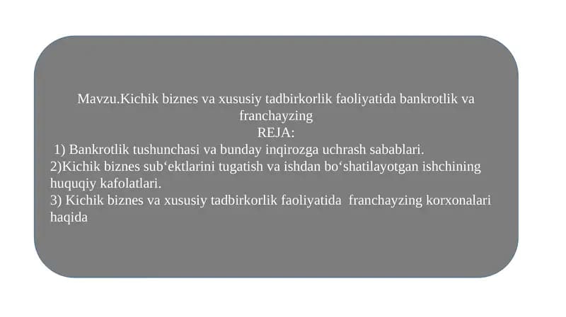 Kichik biznes va xususiy tadbirkorlik faoliyati dasturi