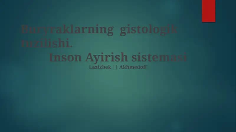 Buyraklarning gistologik tuzilishi