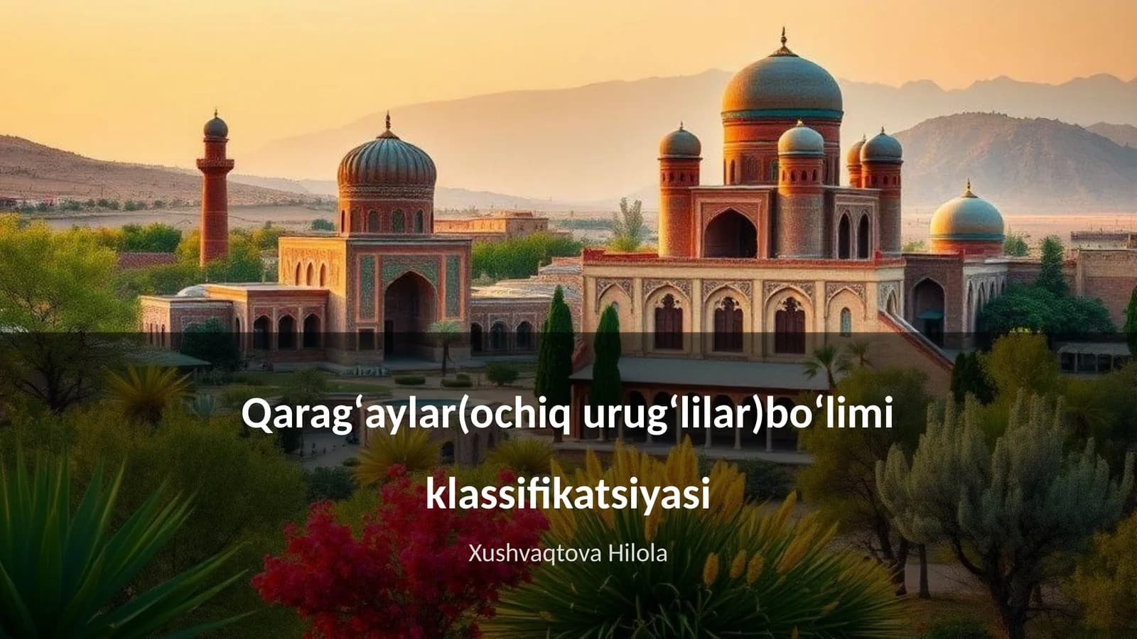 Qaragʻaylar(ochiq urugʻlilar)boʻlimi klassifikatsiyasi