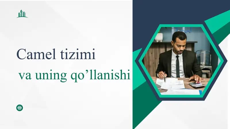 Camel tizimi va uning qo’llanilishi