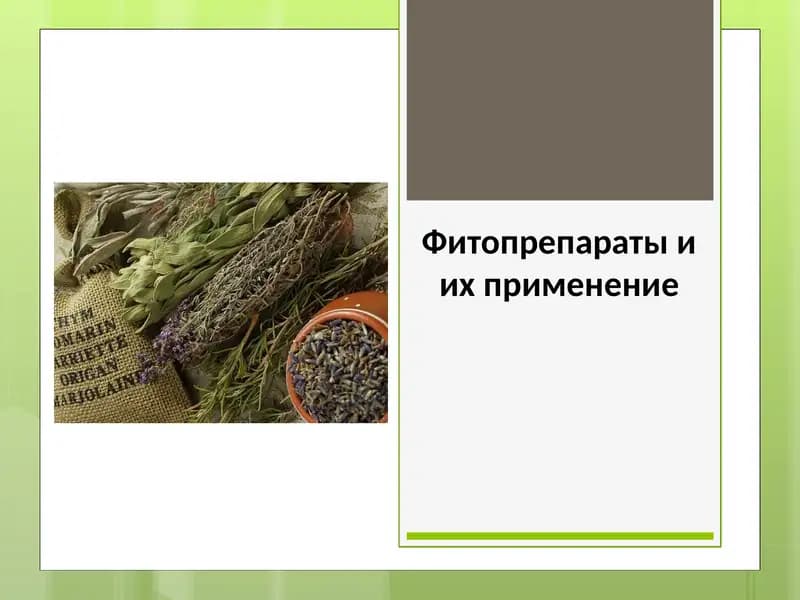 Фитопрепараты и их применение