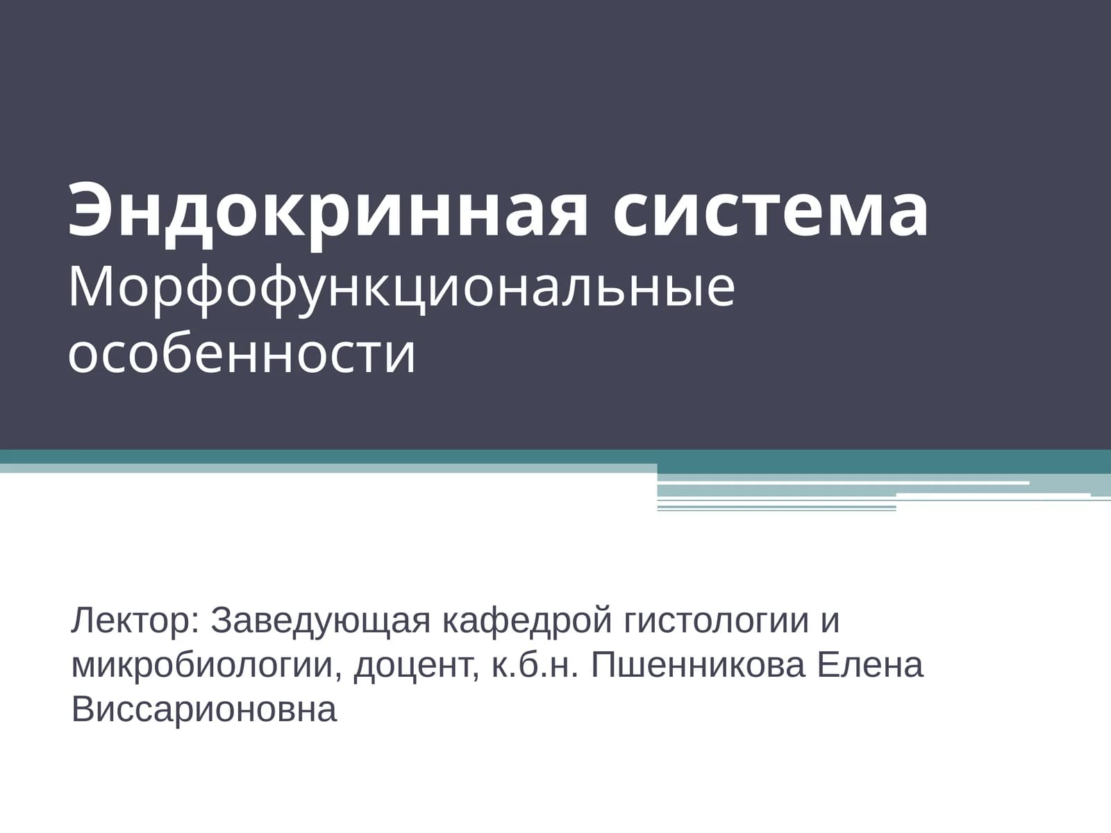 Эндокринная система Морфофункциональные особенности
