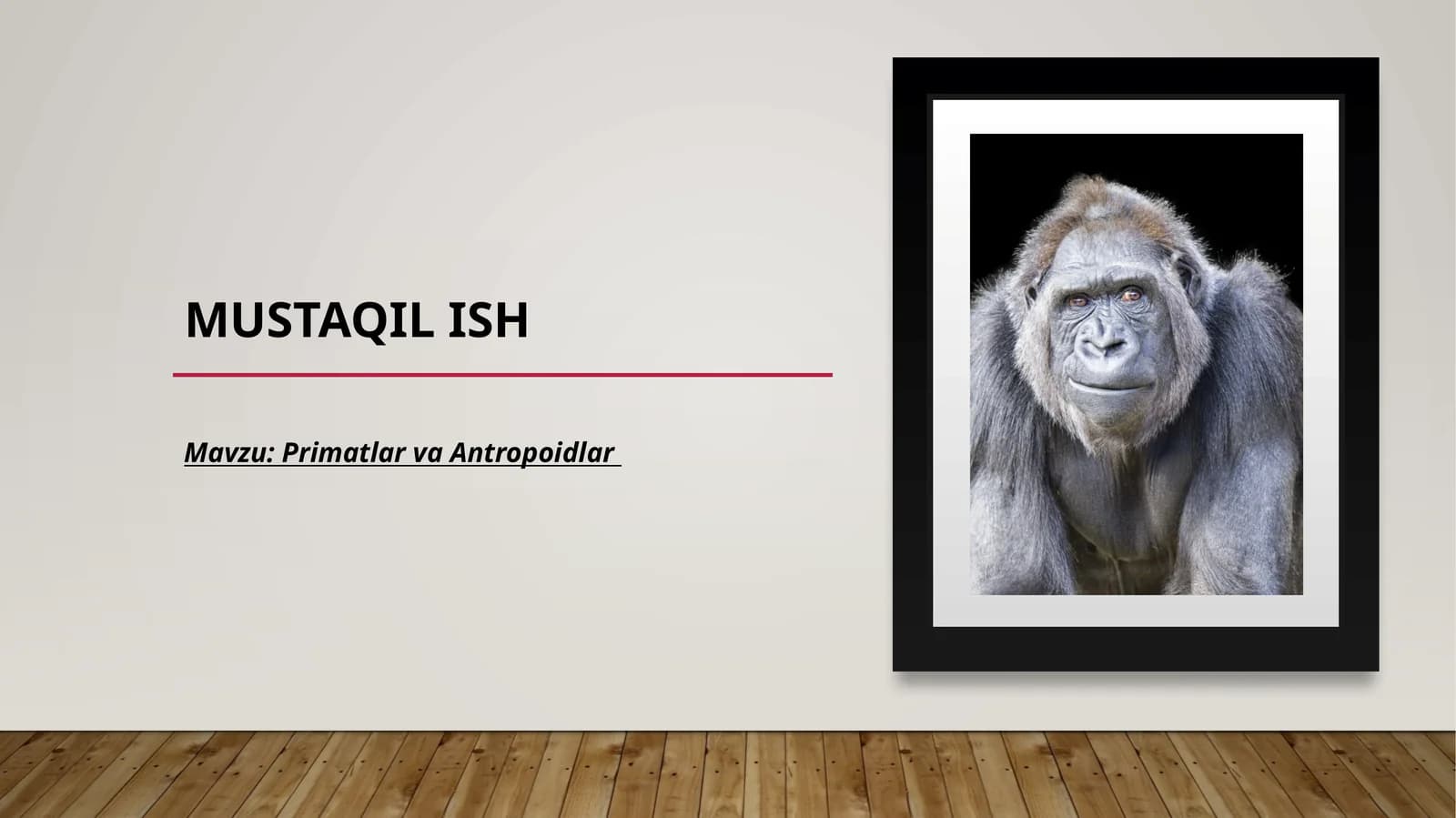 Primatlar va Antropoidlar