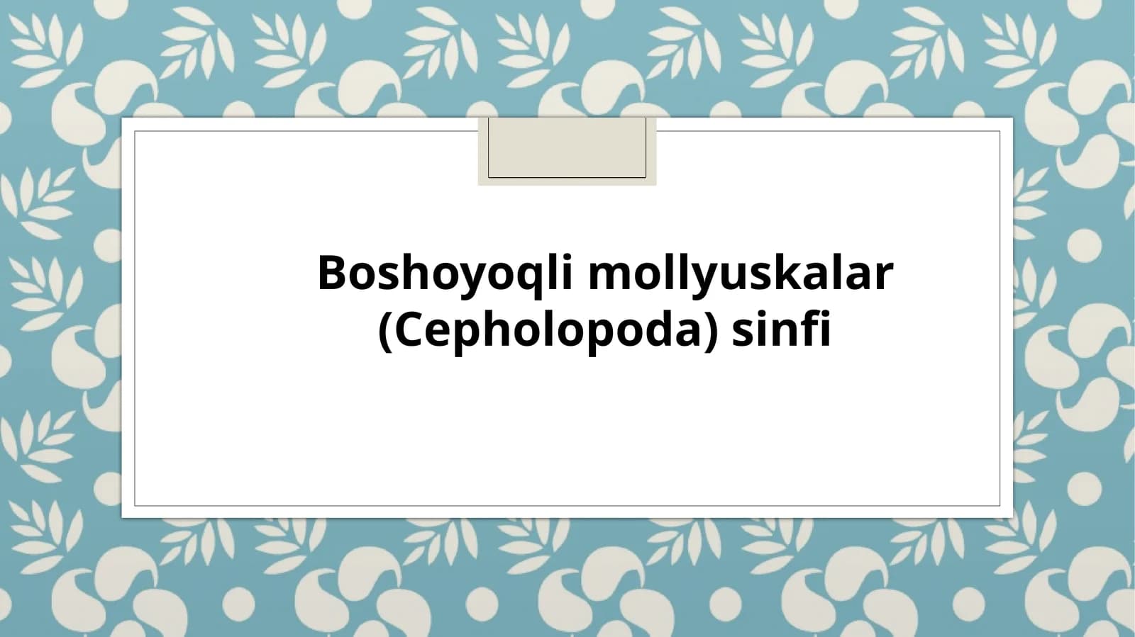 Boshoyoqlim ollyuskalar (Cepholopoda) sinfi