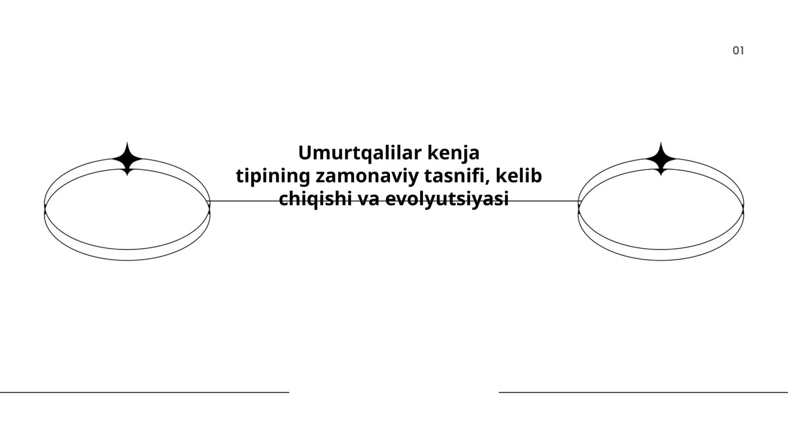 Umurtqalilar kenjatipining zamonaviy tasnifi, kelibchiqishi va evolyutsiyasi