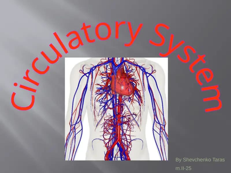 Circulatory System
