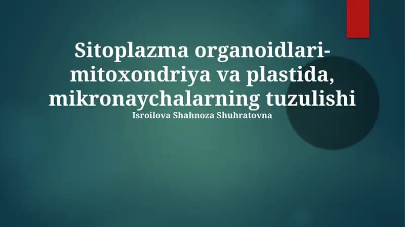 Mitoxondriyalar va Plastidalar: Tuzilishi, Vazifalari va Kelib Chiqishi