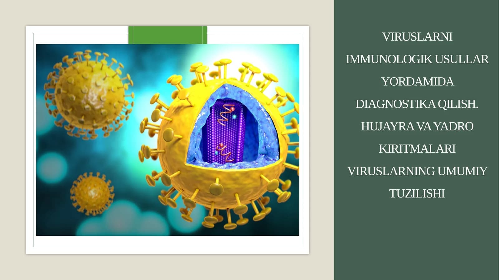 Viruslarni immunologik usullar yordamida diagnostika qilish.Hujayra va yadro kiritmalari Viruslarning umumiy tuzilishi