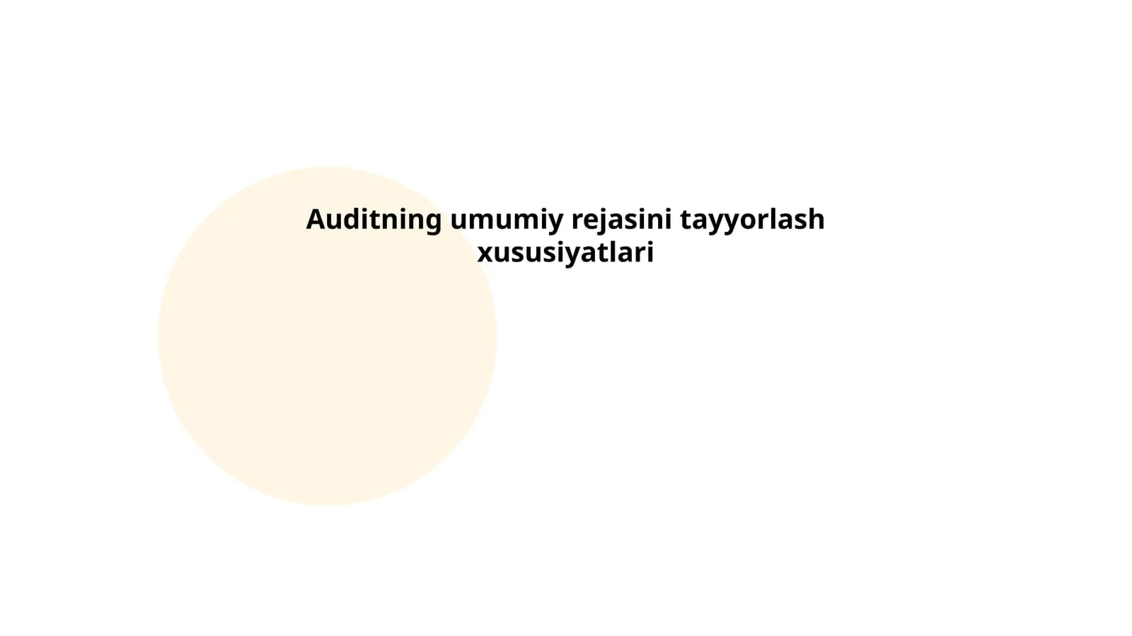 Auditning umumiy rejasini tayyorlash xususiyatlari