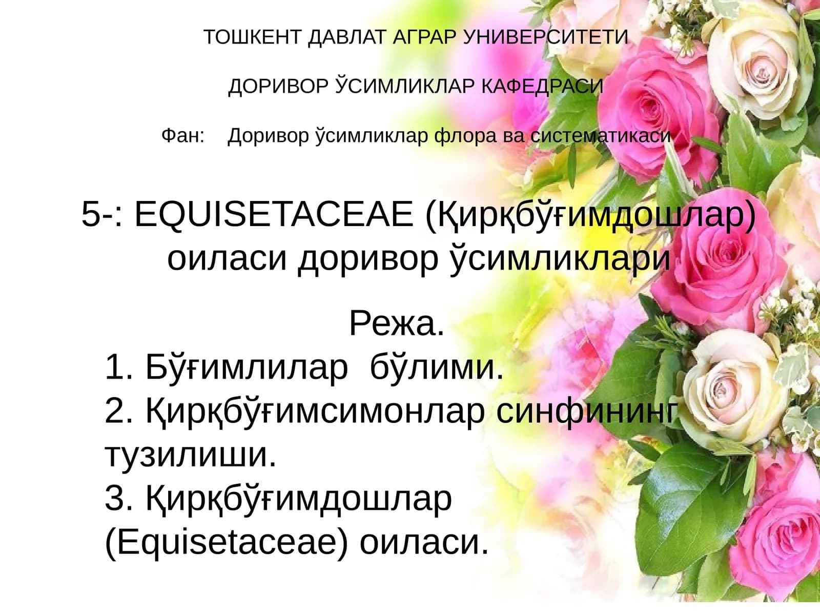Қирқбўғимдошлар флора ва систематикаси