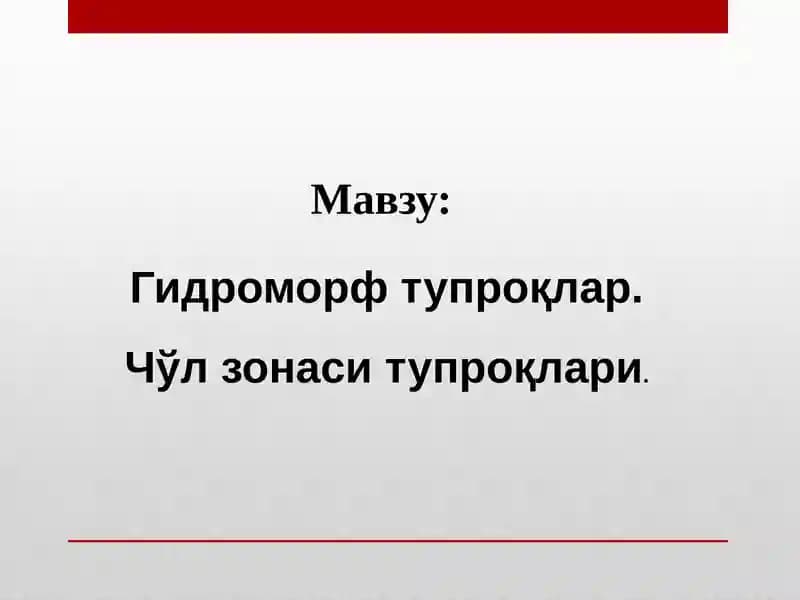 Гидроморфтупроқлар. Чўл зонаси тупроқлари