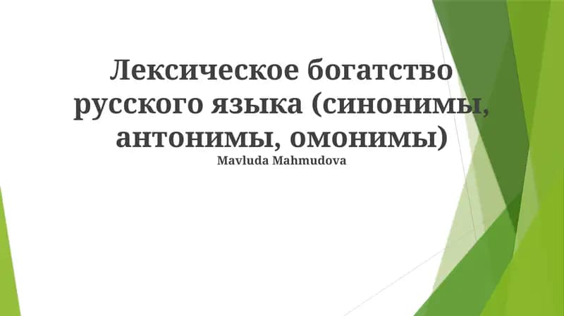 Лексическое богатство русского языка (синонимы, антонимы, омонимы)