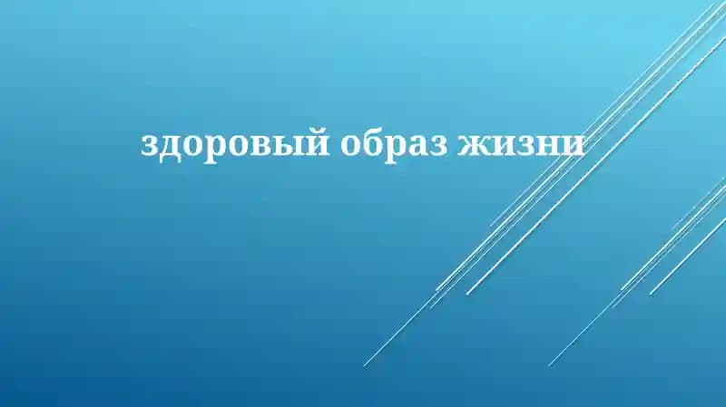 Основы здорового образа жизни