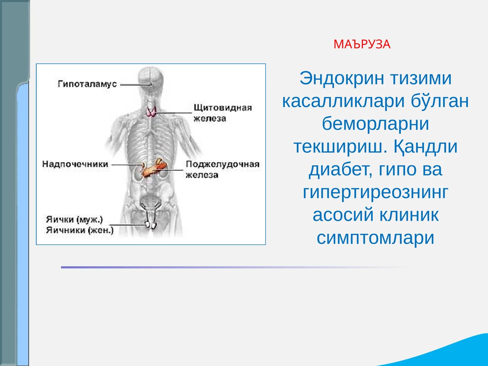 Эндокрин тизими касалликлари бўлган беморларни текшириш. Қандли диабет, гипо ва гипертиреознинг асосий клиник симптомлари