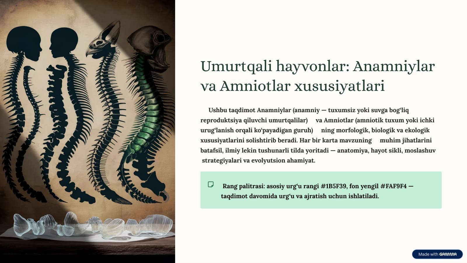 Umurtqali hayvonlar: Anamniylar va Amniotlar xususiyatlari