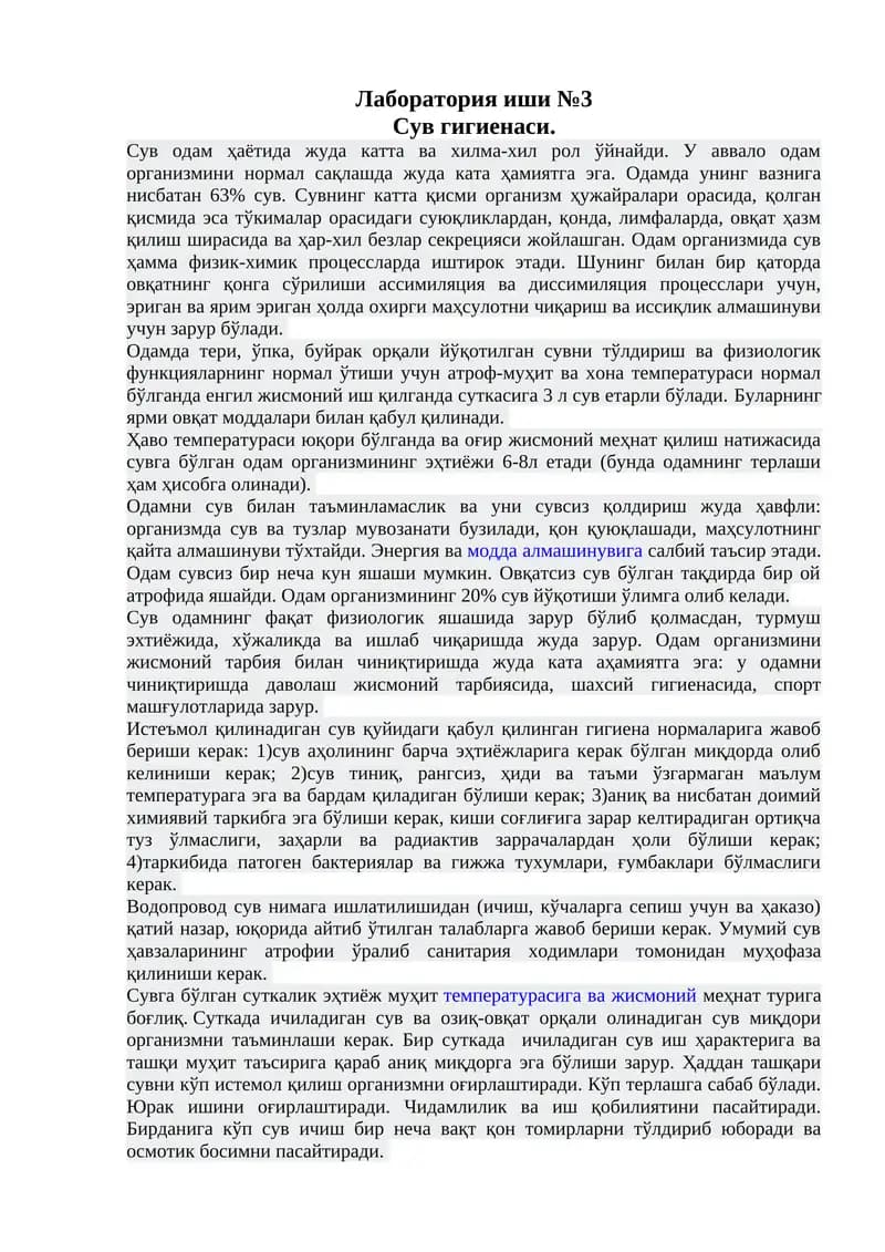 Лаборатория иши №3