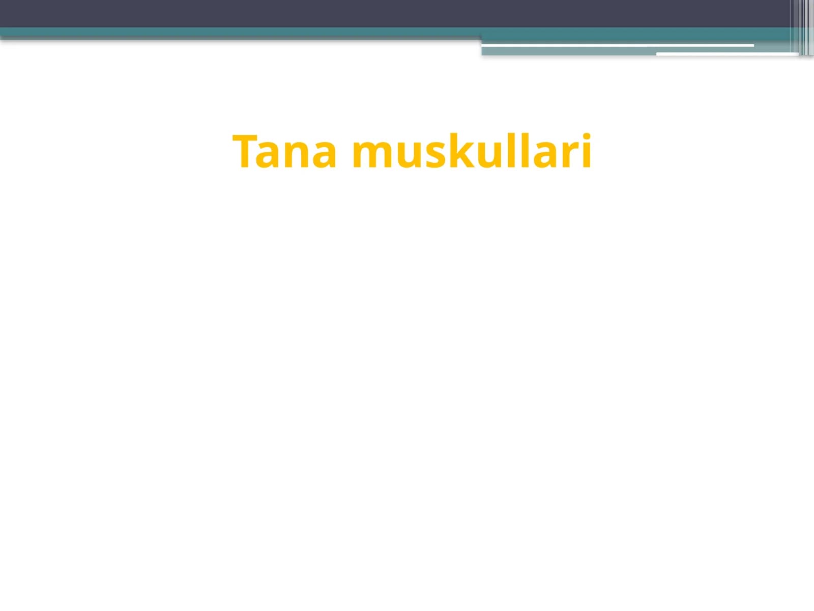 Tana muskullari
