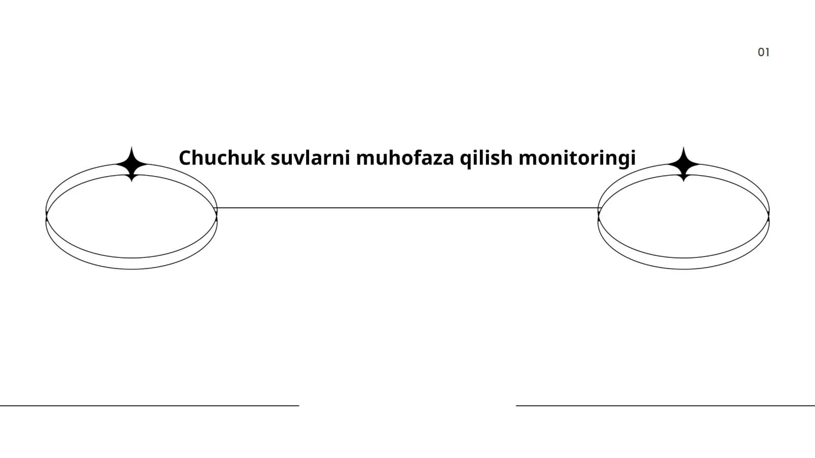 Chuchuk suvlarni muhofaza qilish monitoringi