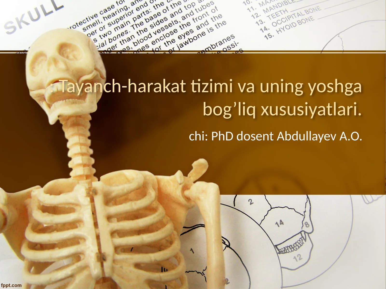 Tayanch-harakat tizimi va uning yoshga bog’liq xususiyatlari