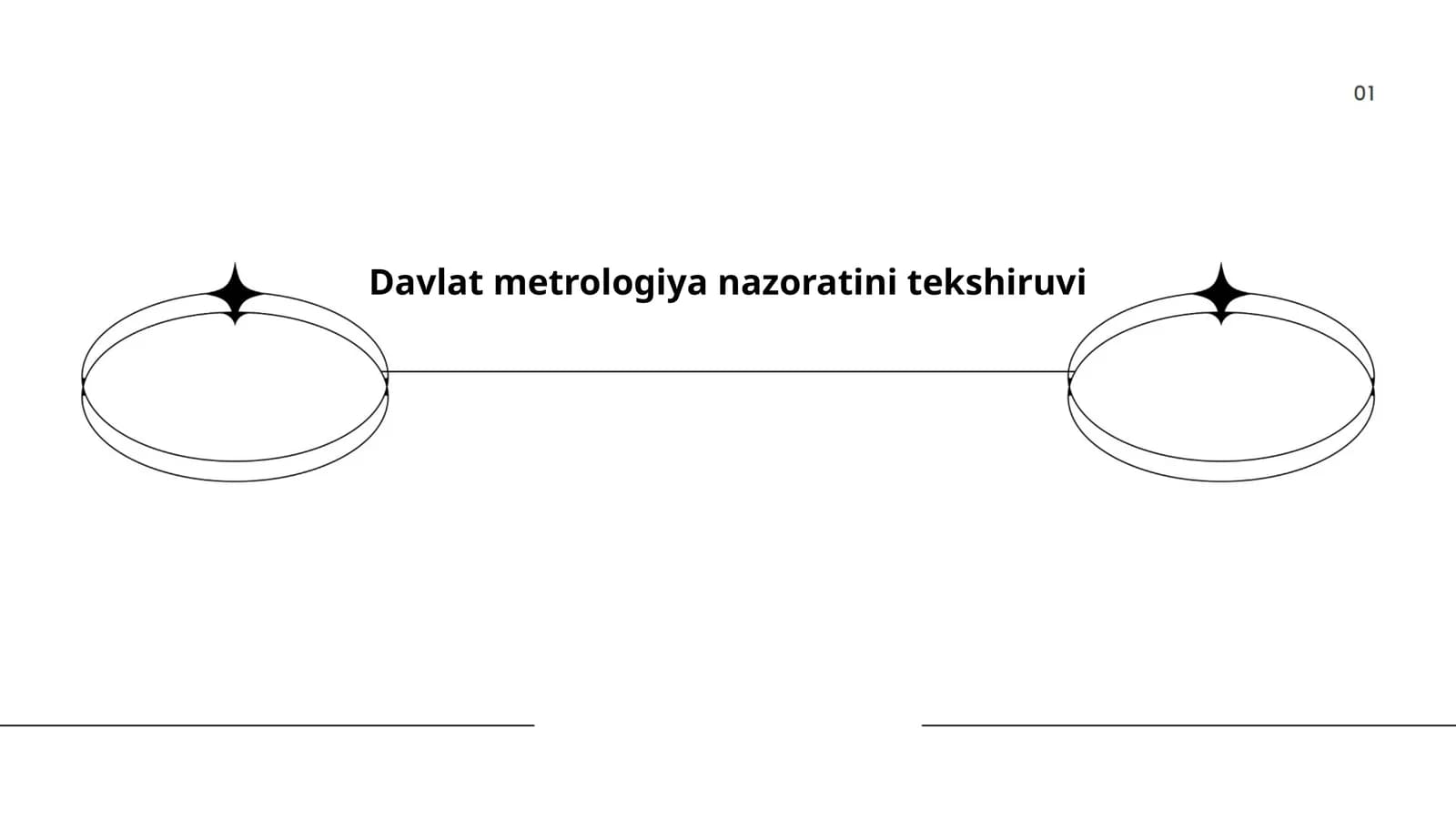 Davlat metrologiya nazoratini tekshiruvi
