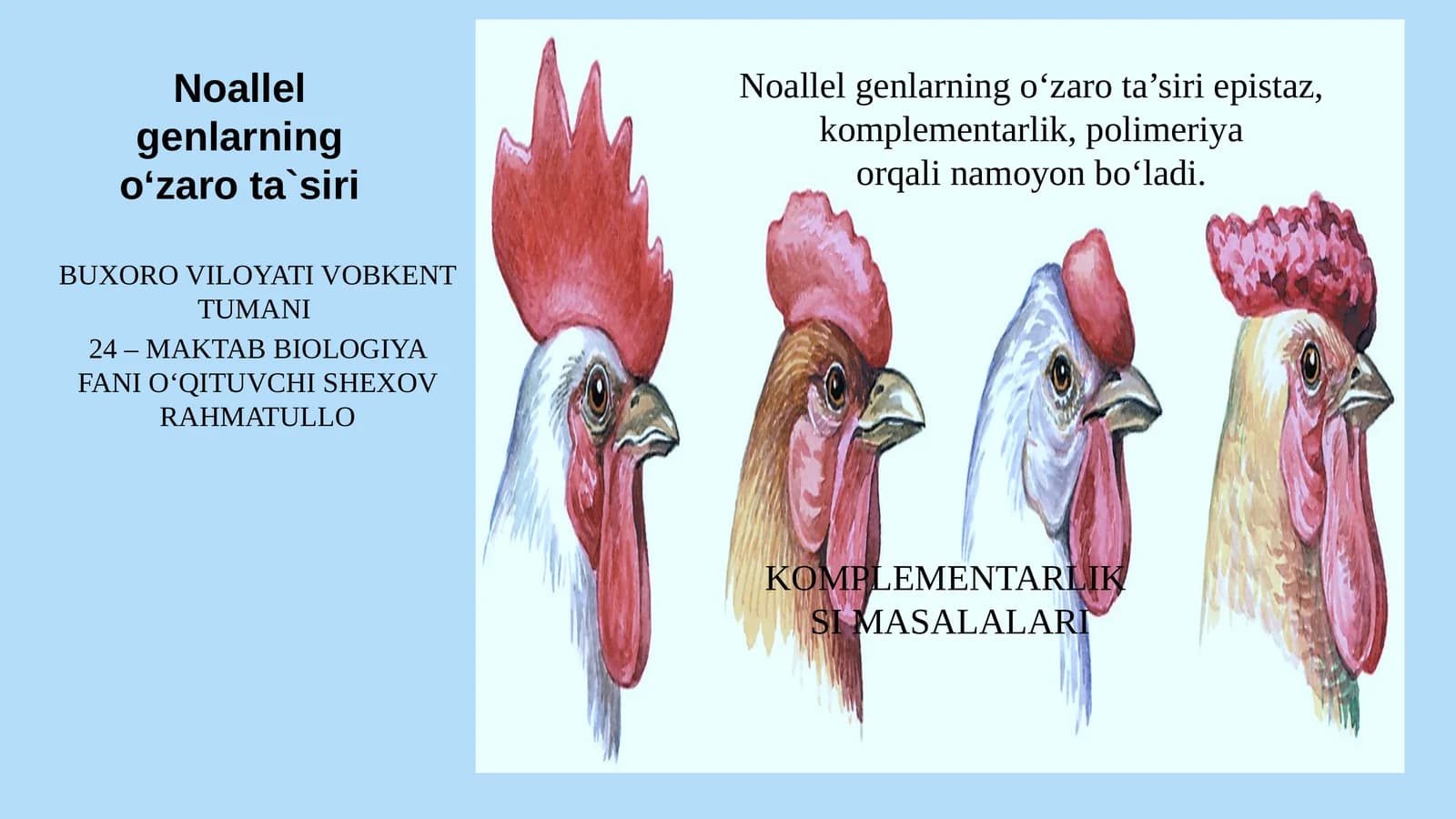 Noallel genlarning o‘zaro ta`siri