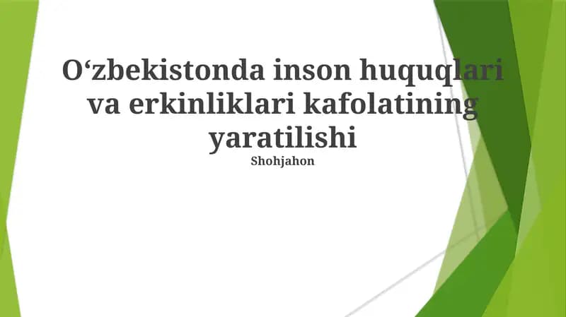 O'zbekistonda inson huquqlari va erkinliklari kafolatining yaratilishi